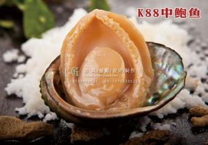 K88中鲍鱼 副本