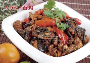 A1047石鸡 拷贝