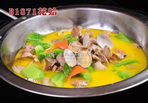 B1871花蛤 拷贝