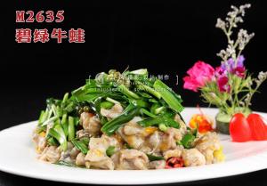 M2635碧绿牛蛙 副本