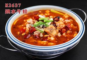 M2637跳水牛蛙 副本