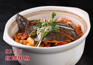 M2737红煨甲鱼 副本