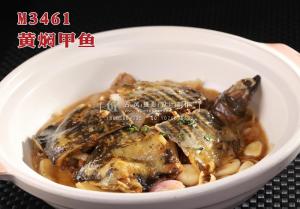 M3461黄焖甲鱼 副本