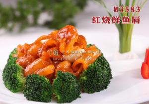 M3583红烧鲜鱼唇 副本