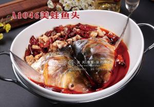 A1046美蛙鱼头 拷贝