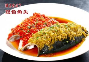 M2847双色鱼头 副本