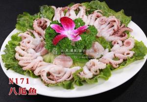 N171八瓜鱼 副本