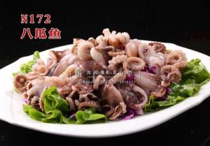 N172八爪鱼 副本