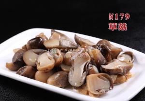N179草菇 副本