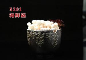 N201海鲜菇 副本