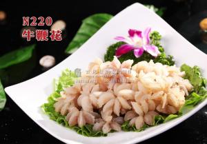 N220牛鞭花 副本