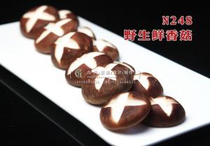 N248野生鲜香菇 副本