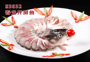 M3832春光开屏鱼 副本