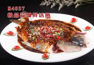 M4037极品蒜爆鲜活鱼 副本