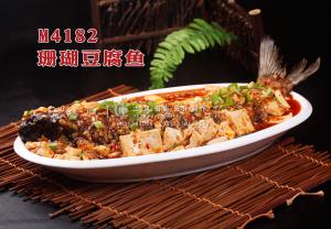 M4182珊瑚豆腐鱼 副本