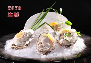 Z073生蚝 副本