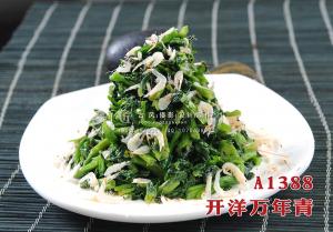 A1388开洋万年青