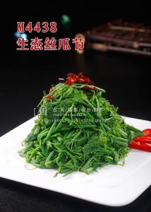 M4438生态丝瓜节 副本