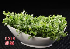 N215苦菊 副本