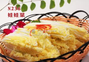 N236娃娃菜 副本