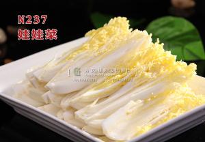 N237娃娃菜 副本