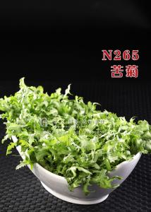 N265苦菊 副本