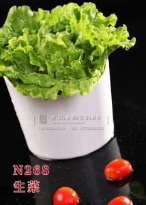 N268生菜 副本