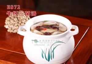 E872牛怀三菌汤 副本