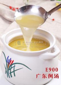 E900广东例汤 副本