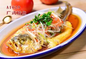 A1629广式桂鱼