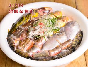 A1703金牌杂鱼汇