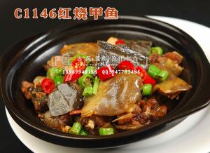 C1146红烧甲鱼