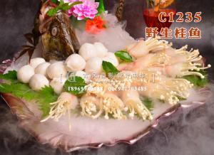C1235野生桂鱼