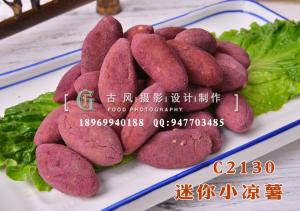 C2130迷你小凉薯