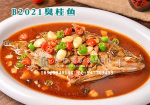 B2021臭桂鱼