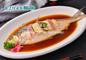 B2048鲥鱼