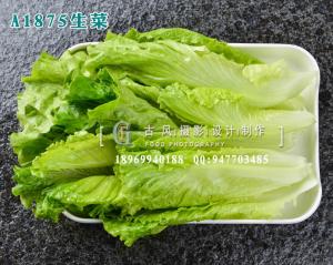 A1875生菜