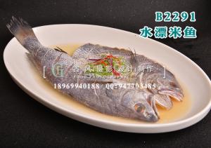 B2291水漂米鱼