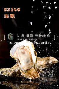 B2268生蚝