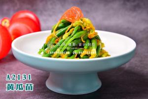 A2131黄瓜苗
