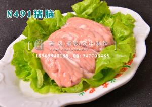 N491猪脑