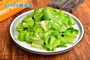 B2494油麦菜