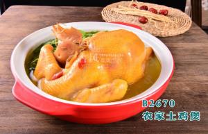 B2670农家土鸡煲 (2)