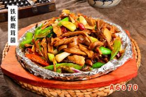 A6070铁板鹿茸菌