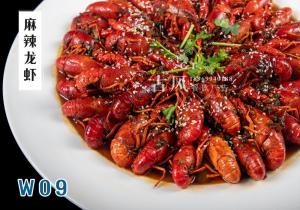 W09麻辣龙虾