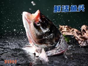 B3062鲜活鱼头