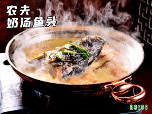 B3606农夫奶汤鱼头