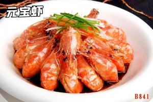 B841元宝虾