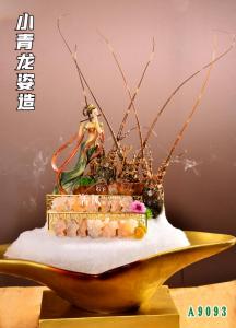 A9093小青龙姿造