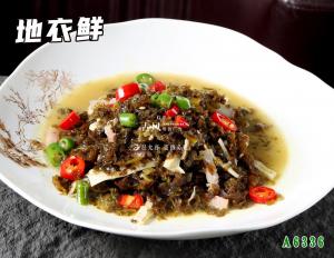 A6336地衣鲜